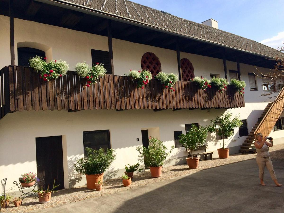 VIII Panorama-Ferienwohnung Petzenblick Smihel nad Pliberkom Kültér fotó
